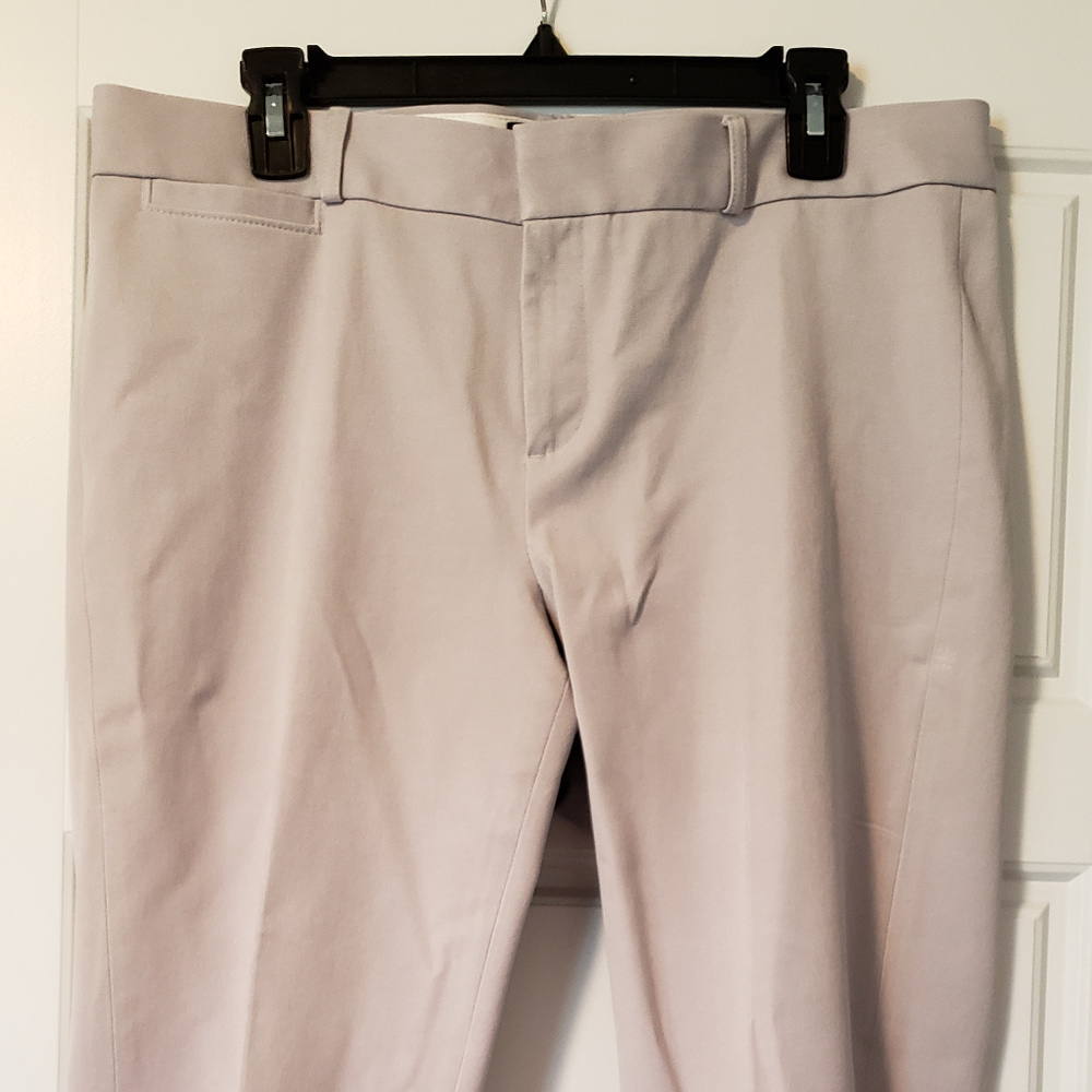 Banana Republic Sloan Fit Size 12